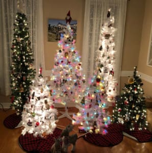 Christmas tree forest