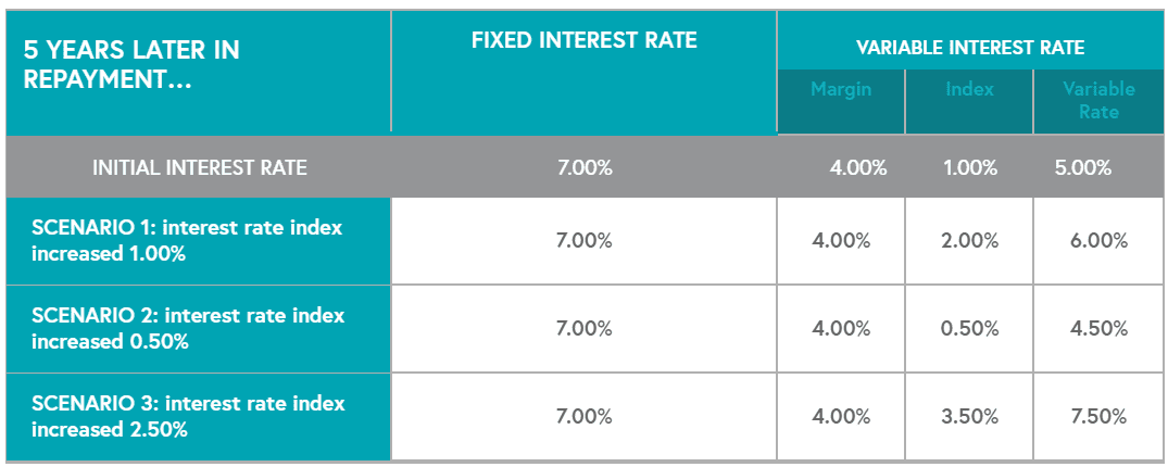 Fixed rate vs variable loans