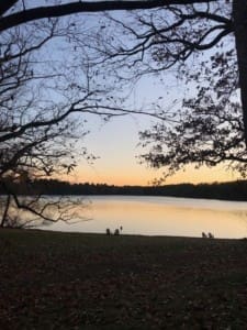 Wellesley College lake photo by Jules Weed